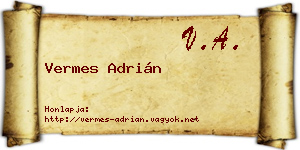 Vermes Adrián névjegykártya